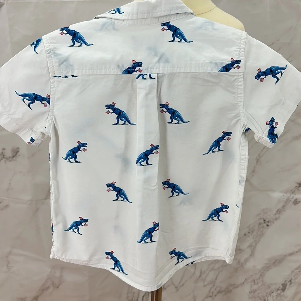 The Childrens Place boys 2t